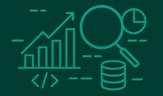 Senior Data Analyst